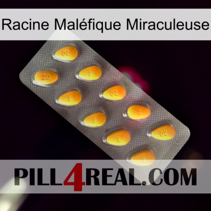 Racine Maléfique Miraculeuse cialis1